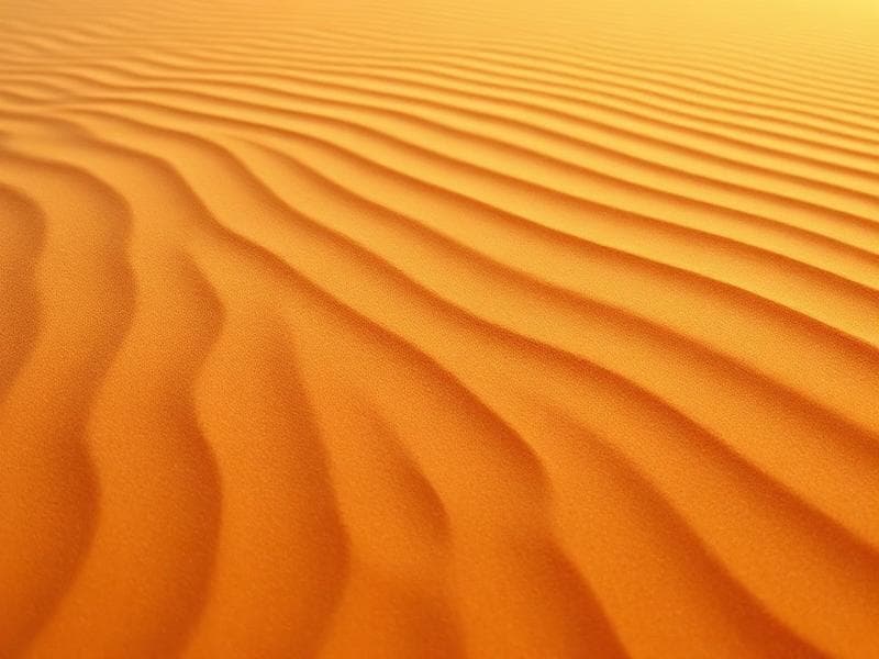 Sand ripples